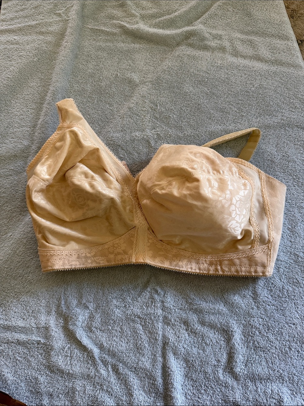 Playtex Nude Lace-Trim Full Coverage Bra